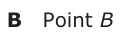 Answer B: Point B