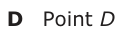 Answer D: Point D