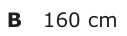 Answer B: 160 cm